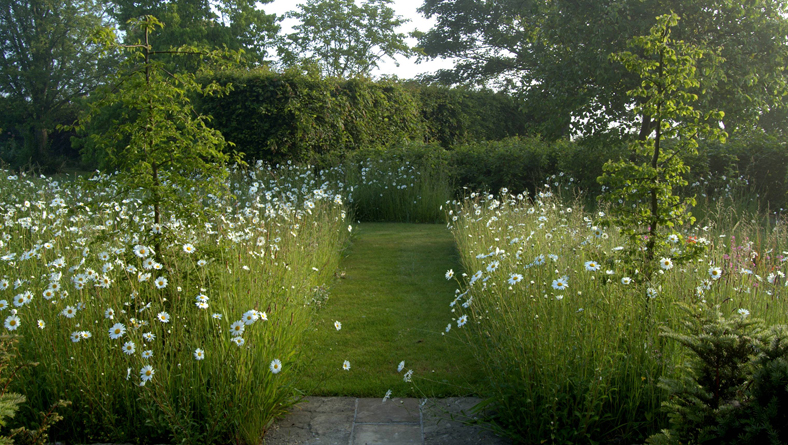 Garden Designer Justin Spink Wiltshire Garden